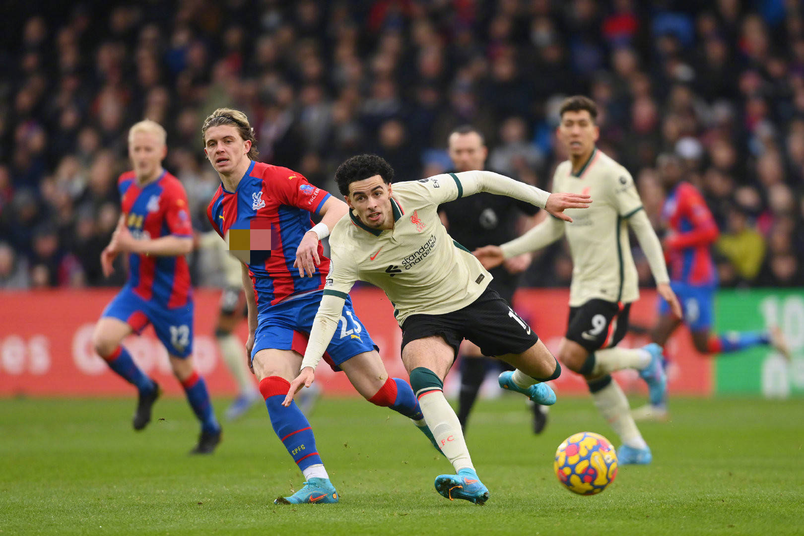 渐理性化 渐理性化